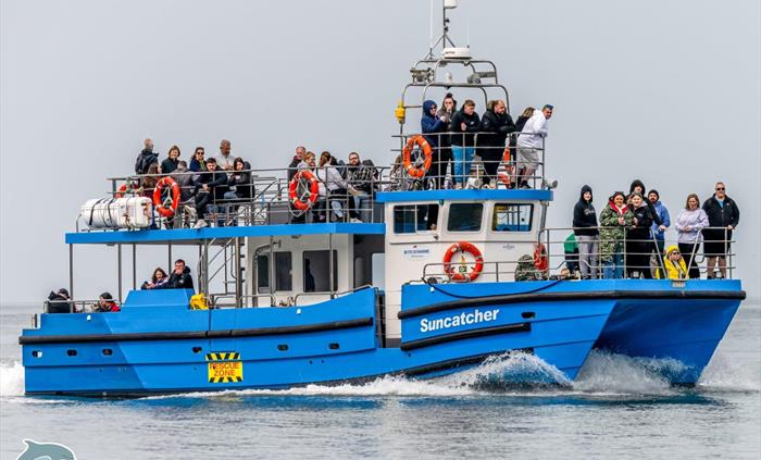 The first twin deck in New Quay offers amazing views on top and low deck.